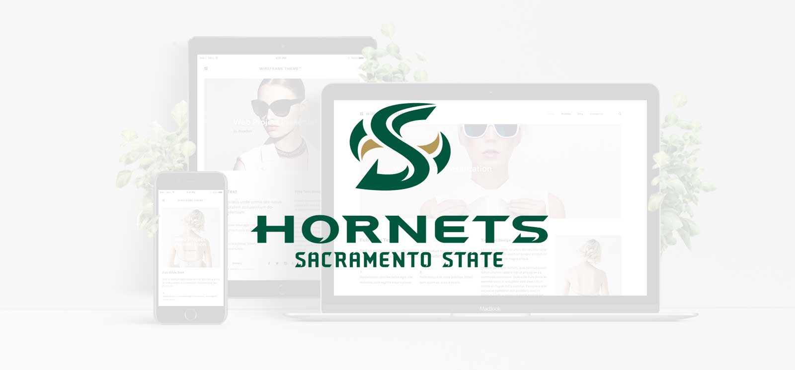 Sacramento State University Web Design Scholarship